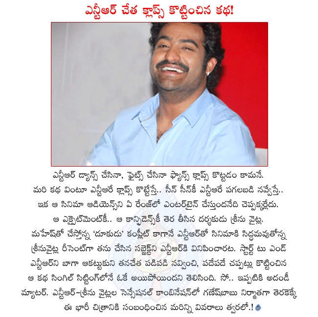 hero ntr next movie,ntr and srinu vytla combination movie,srinu vytla story ok in single sitting for ntr,ntr given claps to srinu vytla story,ganesh babu producing ntr new film,ntr latest movie details  hero ntr next movie, ntr and srinu vytla combination movie, srinu vytla story ok in single sitting for ntr, ntr given claps to srinu vytla story, ganesh babu producing ntr new film, ntr latest movie details